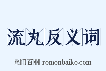 流丸反义词是什么意思的图片